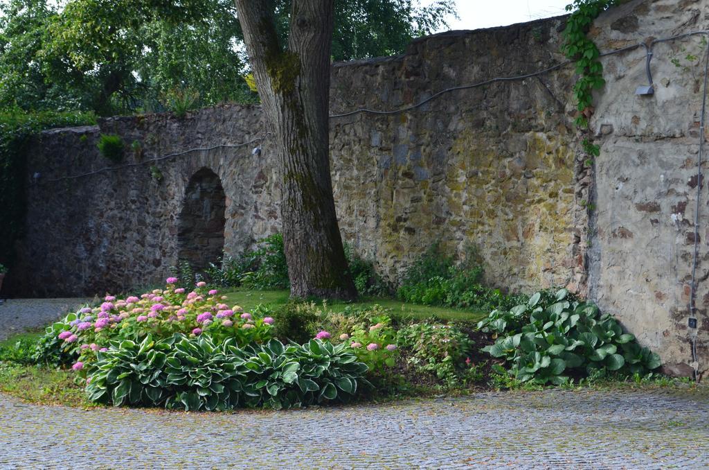 Penzion Vila Elektra Bechyně Exterior foto
